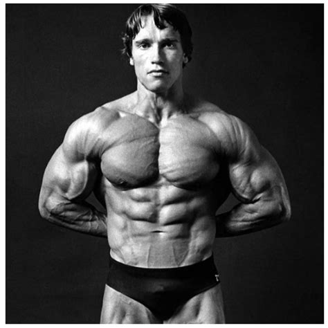 arnold schwarzenegger bodybuilding pics